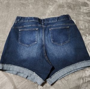 Terra & Sky Denim Shorts